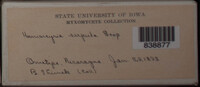 Image Associated With the Occurence